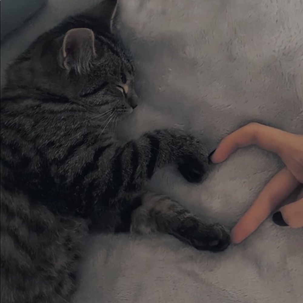 Meet your Posher, Tiera